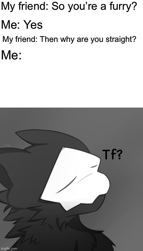I’m asked this too much |  My friend: So you’re a furry? Me: Yes; My friend: Then why are you straight? Me:; Tf? | image tagged in blank white template,puro satsified,puro,changed,furry | made w/ Imgflip meme maker