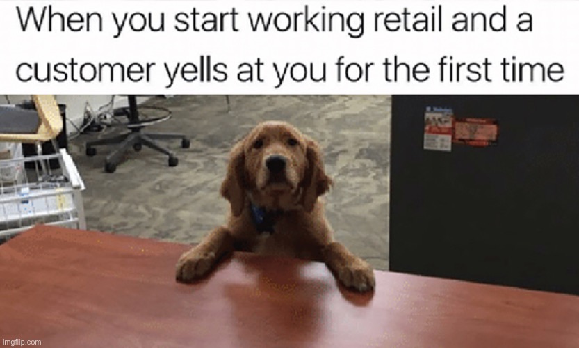 Lol | image tagged in memes,dogs | made w/ Imgflip meme maker