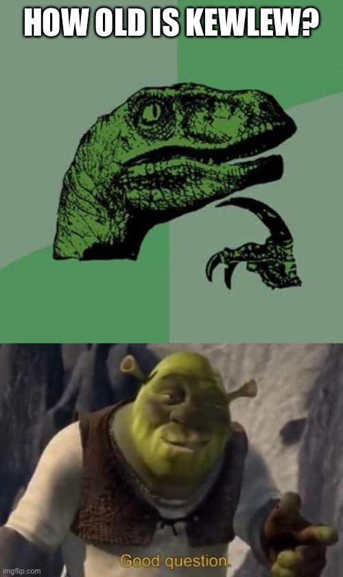 just curious cuz he puts his face in every meme and he looks like my grandpa lol | HOW OLD IS KEWLEW? | image tagged in memes,philosoraptor,shrek good question,kewlew,oh wow are you actually reading these tags | made w/ Imgflip meme maker