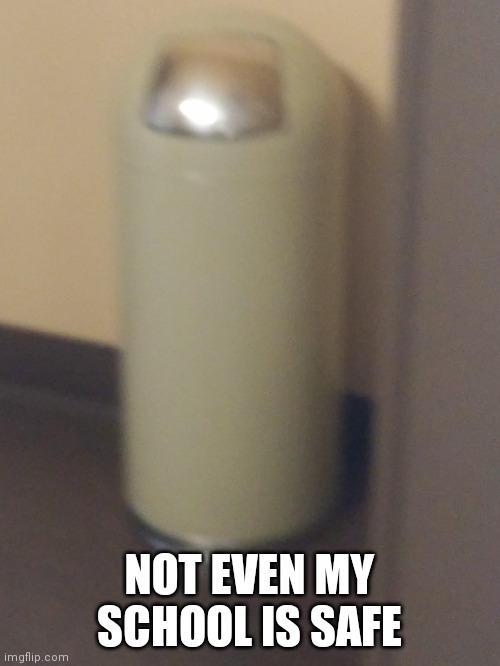 NOT EVEN MY SCHOOL IS SAFE | made w/ Imgflip meme maker