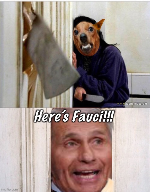 redruM | Here’s Fauci!!! | image tagged in dr fauci,memes,politics lol | made w/ Imgflip meme maker