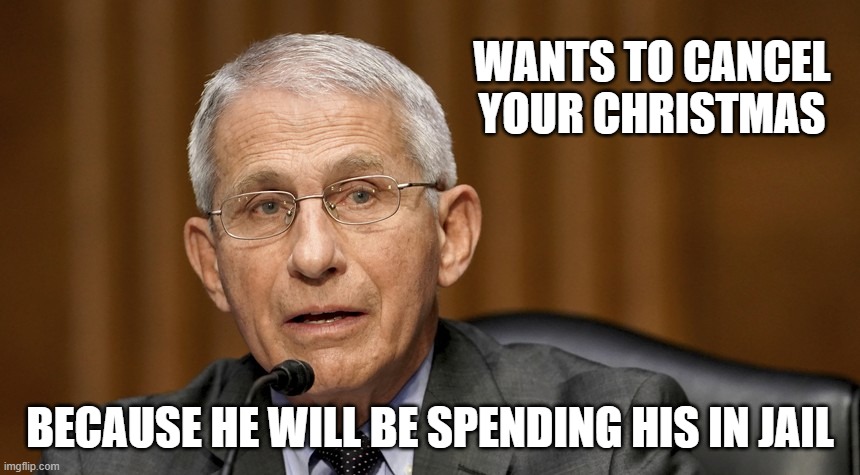 Countless atrocities committed in the US and abroad. | WANTS TO CANCEL YOUR CHRISTMAS; BECAUSE HE WILL BE SPENDING HIS IN JAIL | image tagged in fauci | made w/ Imgflip meme maker
