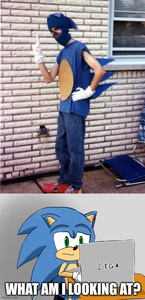 SANIC? | WHAT AM I LOOKING AT? | image tagged in sanic,sonic the hedgehog,cosplay,cosplay fail,costume | made w/ Imgflip meme maker