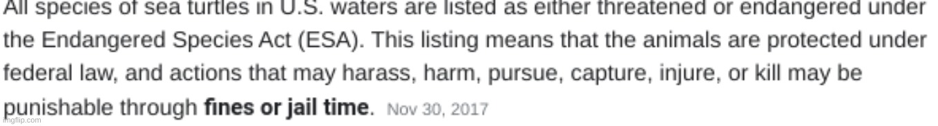 oh shit so im in trouble if i go back to maui | made w/ Imgflip meme maker