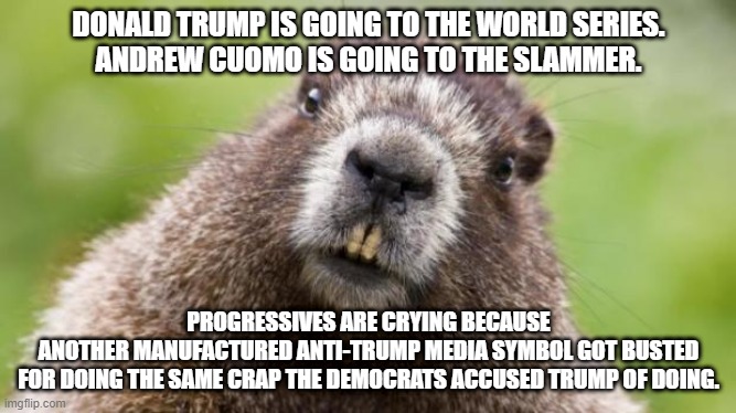 Another anti-Trump bites the dust | DONALD TRUMP IS GOING TO THE WORLD SERIES.
ANDREW CUOMO IS GOING TO THE SLAMMER. PROGRESSIVES ARE CRYING BECAUSE
ANOTHER MANUFACTURED ANTI-TRUMP MEDIA SYMBOL GOT BUSTED
FOR DOING THE SAME CRAP THE DEMOCRATS ACCUSED TRUMP OF DOING. | image tagged in mr beaver,memes,andrew cuomo,sexual assault,donald trump,liberal logic | made w/ Imgflip meme maker