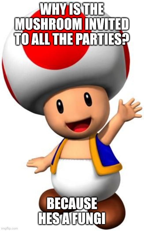 Toad | WHY IS THE MUSHROOM INVITED TO ALL THE PARTIES? BECAUSE HES A FUNGI | image tagged in toad | made w/ Imgflip meme maker
