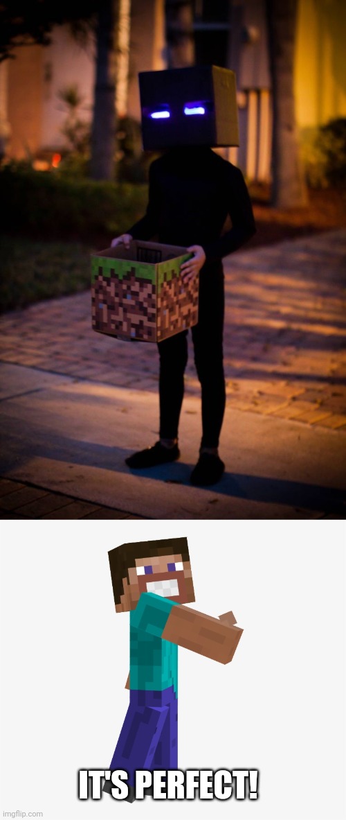 JUST DON'T KILL ME |  IT'S PERFECT! | image tagged in minecraft,minecraft steve,enderman,halloween,costume,spooktober | made w/ Imgflip meme maker