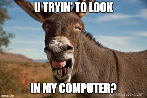 Donkey Jackass Braying | U TRYIN' TO LOOK; IN MY COMPUTER? | image tagged in donkey jackass braying | made w/ Imgflip meme maker