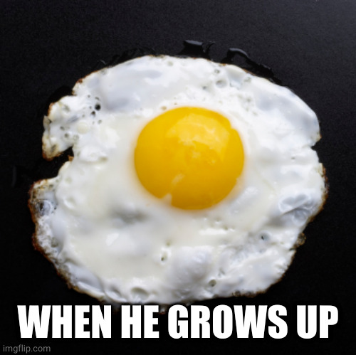 Eggs | WHEN HE GROWS UP | image tagged in eggs | made w/ Imgflip meme maker