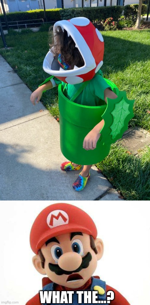 NOT SCARED OF THAT PIRANHA PLANT | WHAT THE...? | image tagged in super mario bros,costume,halloween,mario | made w/ Imgflip meme maker