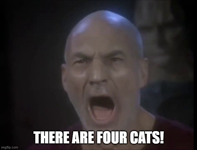 Picard Four Lights | THERE ARE FOUR CATS! | image tagged in picard four lights | made w/ Imgflip meme maker