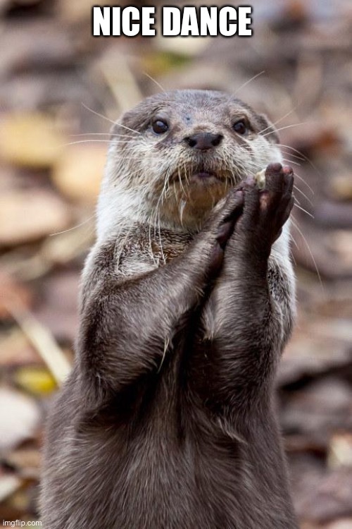 Slow-Clap Otter | NICE DANCE | image tagged in slow-clap otter | made w/ Imgflip meme maker