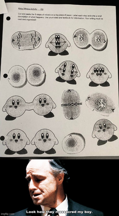I saw this online. | image tagged in look how they massacred my boy,kirby,cell,mitosis,school | made w/ Imgflip meme maker