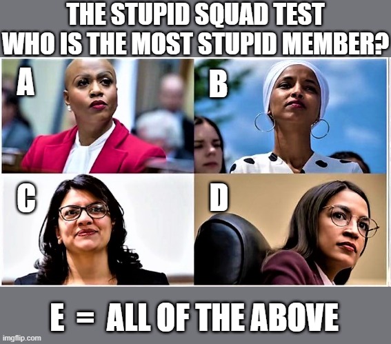 The stupid squad test | THE STUPID SQUAD TEST
WHO IS THE MOST STUPID MEMBER? A; B; C; D; E  =  ALL OF THE ABOVE | image tagged in communist socialist,democratic socialism,squad,aoc,ilhan omar,stupid liberals | made w/ Imgflip meme maker