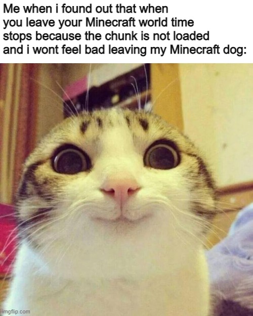 Smiling Cat Meme | Me when i found out that when you leave your Minecraft world time stops because the chunk is not loaded and i wont feel bad leaving my Minecraft dog: | image tagged in memes,smiling cat,minecraft,wholesome,happy | made w/ Imgflip meme maker