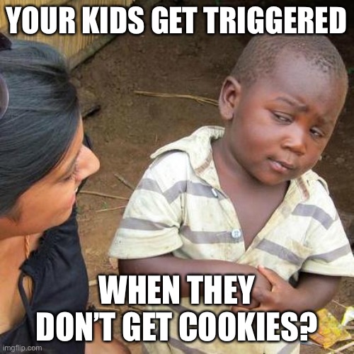 we are so spoiled | YOUR KIDS GET TRIGGERED; WHEN THEY DON’T GET COOKIES? | image tagged in memes,third world skeptical kid | made w/ Imgflip meme maker