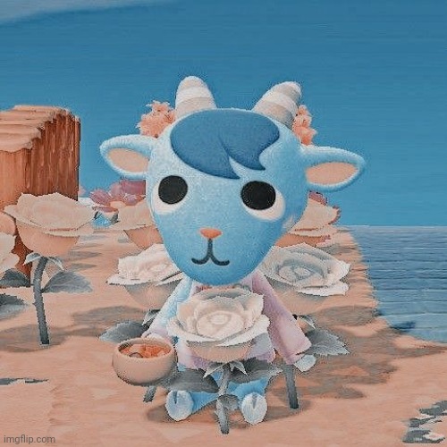 Sherb and the c u p . | made w/ Imgflip meme maker