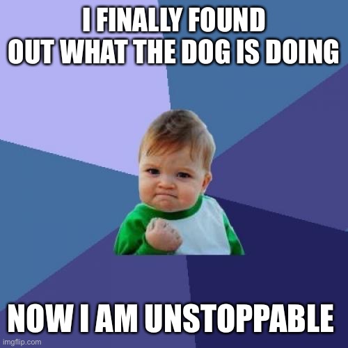 Daily relatable memes #45 | I FINALLY FOUND OUT WHAT THE DOG IS DOING; NOW I AM UNSTOPPABLE | image tagged in memes,success kid | made w/ Imgflip meme maker