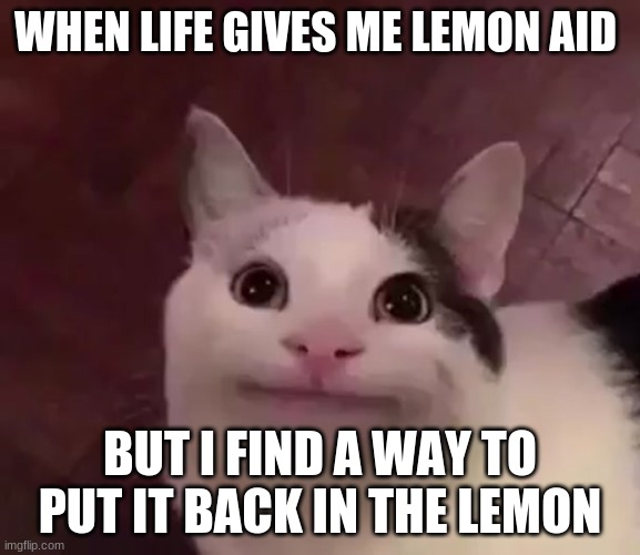 Awkward Cat | WHEN LIFE GIVES ME LEMON AID; BUT I FIND A WAY TO PUT IT BACK IN THE LEMON | image tagged in awkward cat | made w/ Imgflip meme maker