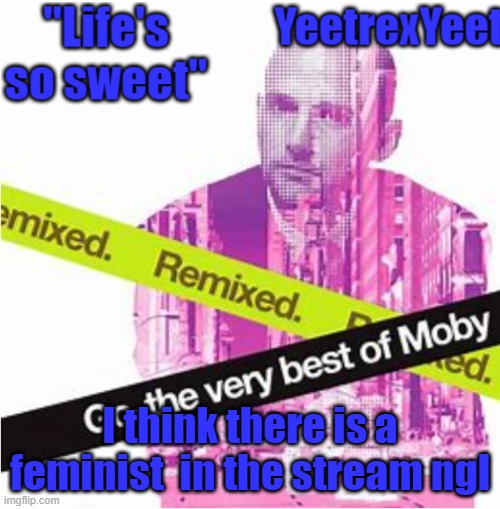 Moby 3.0 | I think there is a feminist  in the stream ngl | image tagged in moby 3 0 | made w/ Imgflip meme maker
