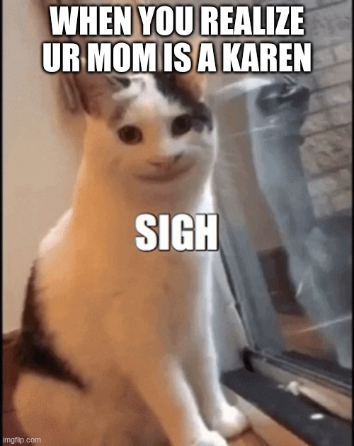 Disappointed Cat | WHEN YOU REALIZE UR MOM IS A KAREN | image tagged in disappointed cat | made w/ Imgflip meme maker
