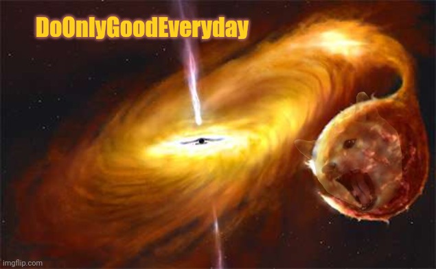DoOnlyGoodEveryday | DoOnlyGoodEveryday | image tagged in dogecoin,elon musk | made w/ Imgflip meme maker