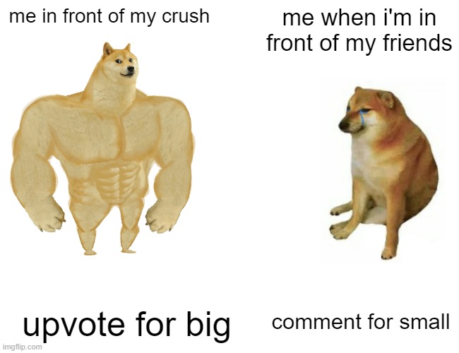 Buff Doge vs. Cheems Meme | me in front of my crush; me when i'm in front of my friends; comment for small; upvote for big | image tagged in memes,buff doge vs cheems | made w/ Imgflip meme maker