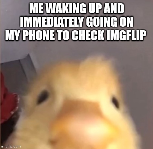 ME WAKING UP AND IMMEDIATELY GOING ON MY PHONE TO CHECK IMGFLIP | made w/ Imgflip meme maker