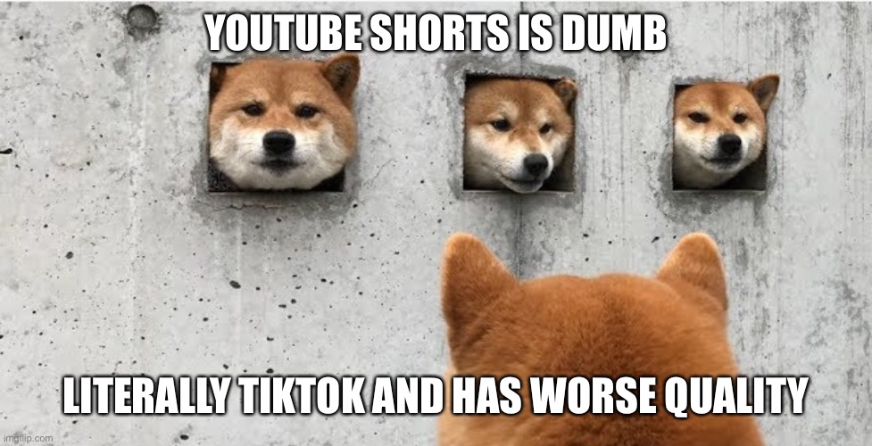 The doge council | YOUTUBE SHORTS IS DUMB; LITERALLY TIKTOK AND HAS WORSE QUALITY | image tagged in the doge council | made w/ Imgflip meme maker