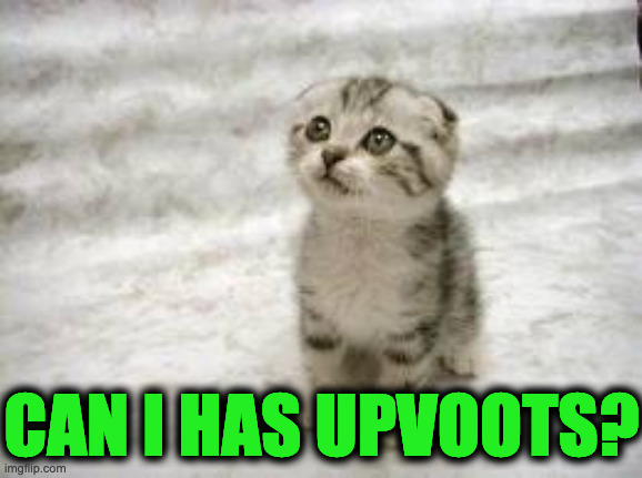 please? | CAN I HAS UPVOOTS? | image tagged in memes,sad cat | made w/ Imgflip meme maker