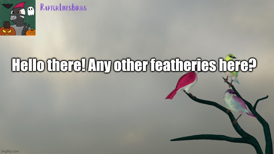 :3 | Hello there! Any other featheries here? | image tagged in raptor's template | made w/ Imgflip meme maker