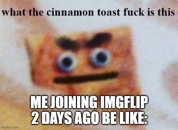 Funny Memes #3 | ME JOINING IMGFLIP 2 DAYS AGO BE LIKE: | image tagged in what the cinnamon toast f is this | made w/ Imgflip meme maker