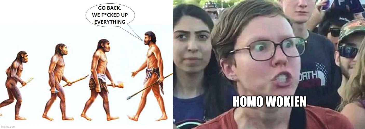 HOMO WOKIEN | image tagged in evolution,triggered liberal | made w/ Imgflip meme maker