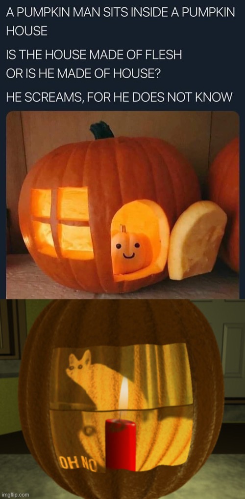 here comes halloween | image tagged in funny,oh no cat,pumpkin,halloween,dark humor,spooky | made w/ Imgflip meme maker