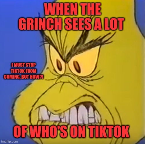 Grinch don't like | WHEN THE GRINCH SEES A LOT; I MUST STOP TIKTOK FROM COMING, BUT HOW?! OF WHO'S ON TIKTOK | image tagged in cringe grinch | made w/ Imgflip meme maker