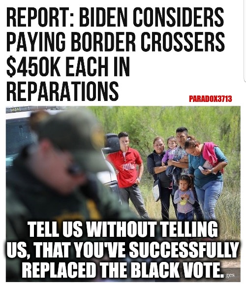 Democrats giving reparations to Illegal Immigrants instead of Blacks?  Blacks got played again. | PARADOX3713; TELL US WITHOUT TELLING US, THAT YOU'VE SUCCESSFULLY REPLACED THE BLACK VOTE. | image tagged in memes,politics,illegal immigration,racism,joe biden,black lives matter | made w/ Imgflip meme maker