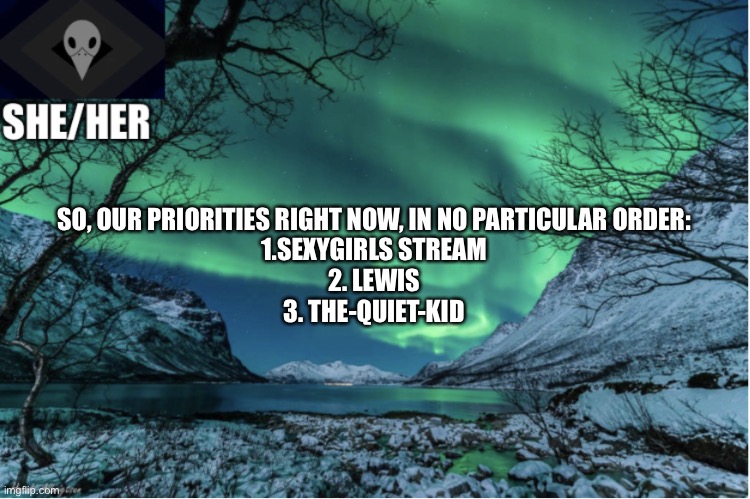 he means priority of destroying | SO, OUR PRIORITIES RIGHT NOW, IN NO PARTICULAR ORDER:
1.SEXYGIRLS STREAM
2. LEWIS
3. THE-QUIET-KID | image tagged in northern lights termcollector template | made w/ Imgflip meme maker