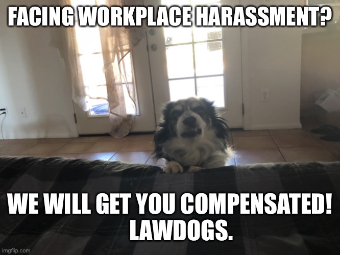 Morning LawDogs | FACING WORKPLACE HARASSMENT? WE WILL GET YOU COMPENSATED!
     LAWDOGS. | image tagged in morning lawdog | made w/ Imgflip meme maker
