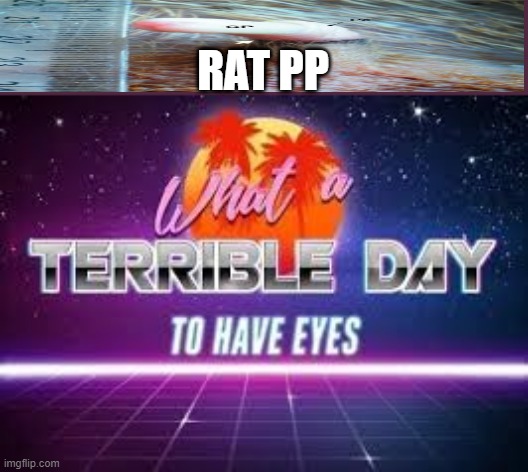 Rat penis | RAT PP | image tagged in what a terrible day to have eyes | made w/ Imgflip meme maker