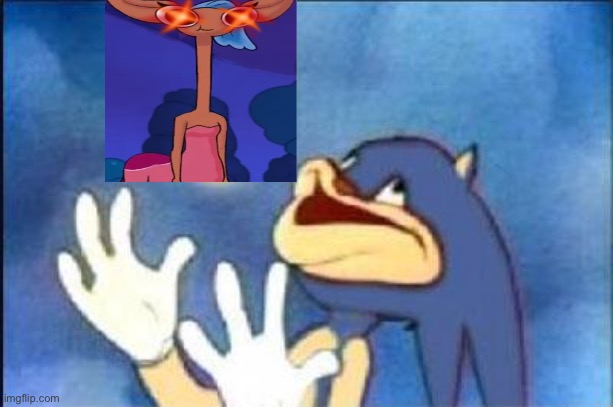 I am not explaining this | image tagged in sonic derp | made w/ Imgflip meme maker