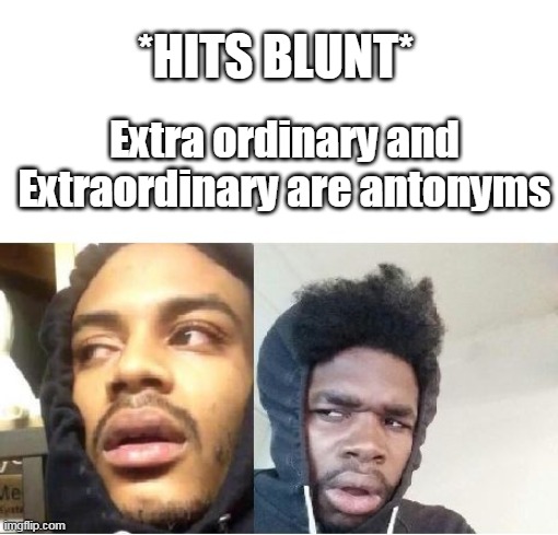 hits blunt  |  *HITS BLUNT*; Extra ordinary and Extraordinary are antonyms | image tagged in hits blunt | made w/ Imgflip meme maker
