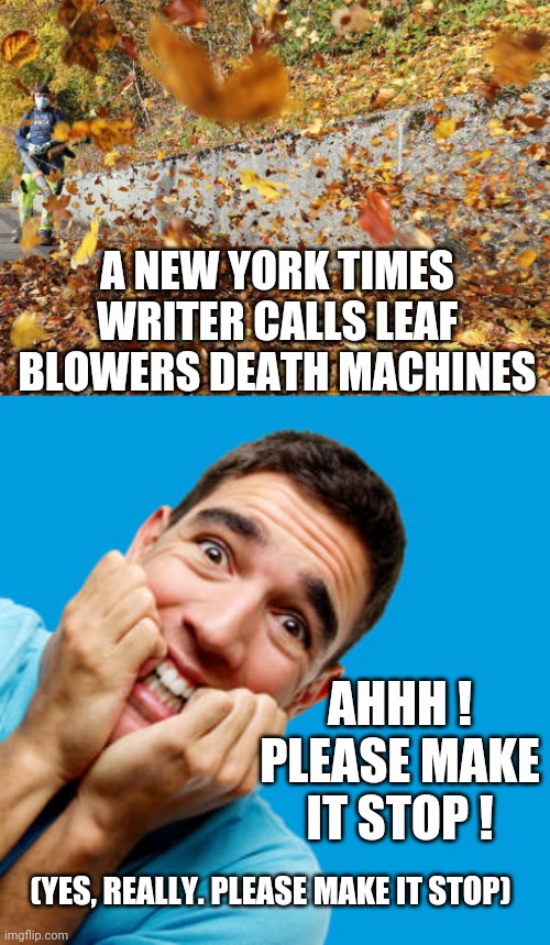 Just Stop This | A NEW YORK TIMES WRITER CALLS LEAF BLOWERS DEATH MACHINES; AHHH !
PLEASE MAKE IT STOP ! (YES, REALLY. PLEASE MAKE IT STOP) | image tagged in liberals,democrats,new york,biden,green,triggered | made w/ Imgflip meme maker