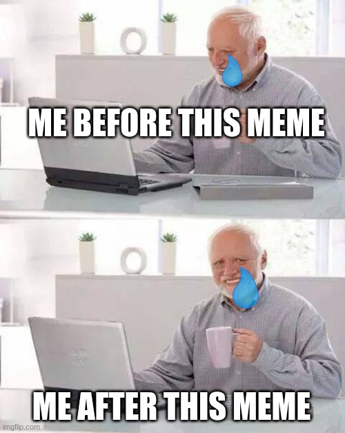 Hide the Pain Harold Meme | ME BEFORE THIS MEME ME AFTER THIS MEME | image tagged in memes,hide the pain harold | made w/ Imgflip meme maker