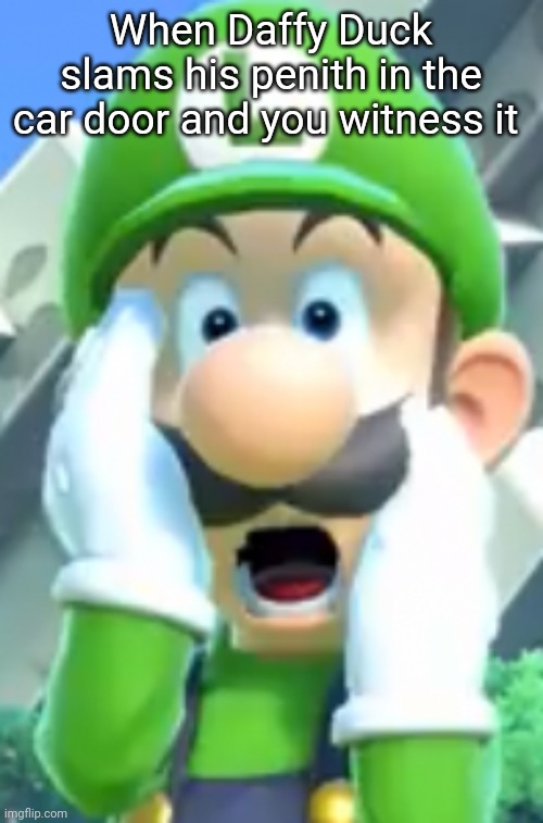 Oh No! | When Daffy Duck slams his penith in the car door and you witness it | image tagged in oh no,daffy duck,luigi,super mario bros,nintendo | made w/ Imgflip meme maker