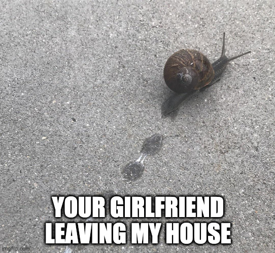 Your girlfriend leaving my house | YOUR GIRLFRIEND LEAVING MY HOUSE | image tagged in snail,snail trail,meme,funny,funny meme,funny memes | made w/ Imgflip meme maker
