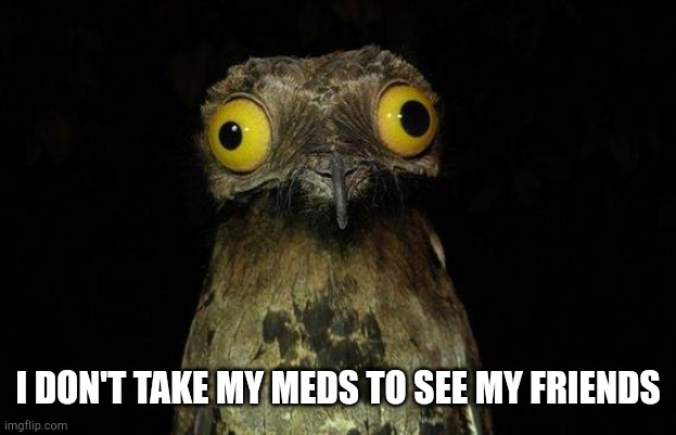 Weird Stuff I Do Potoo Meme | I DON'T TAKE MY MEDS TO SEE MY FRIENDS | image tagged in memes,weird stuff i do potoo,meds,crazy | made w/ Imgflip meme maker