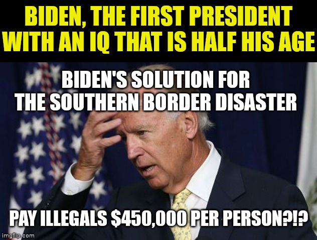 Come on mid-terms. You can't get here soon enough | BIDEN, THE FIRST PRESIDENT WITH AN IQ THAT IS HALF HIS AGE; BIDEN'S SOLUTION FOR THE SOUTHERN BORDER DISASTER; PAY ILLEGALS $450,000 PER PERSON?!? | image tagged in joe biden worries,stupid people,task failed successfully | made w/ Imgflip meme maker