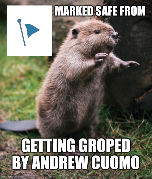Save The Beavers | MARKED SAFE FROM; GETTING GROPED BY ANDREW CUOMO | image tagged in beaver,memes,andrew cuomo,sexual assault,marked safe from,bad pun | made w/ Imgflip meme maker
