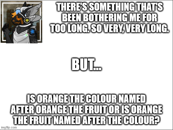 asked you guys for no reason | THERE'S SOMETHING THAT'S BEEN BOTHERING ME FOR TOO LONG. SO VERY, VERY LONG. BUT... IS ORANGE THE COLOUR NAMED AFTER ORANGE THE FRUIT OR IS ORANGE THE FRUIT NAMED AFTER THE COLOUR? | image tagged in orange,oranges,fruit | made w/ Imgflip meme maker