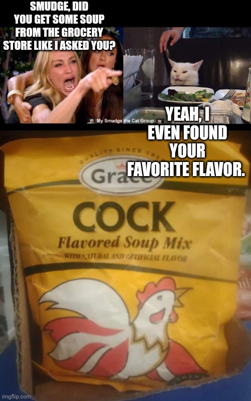 SMUDGE, DID YOU GET SOME SOUP FROM THE GROCERY STORE LIKE I ASKED YOU? YEAH, I EVEN FOUND YOUR FAVORITE FLAVOR. | image tagged in smudge the cat | made w/ Imgflip meme maker